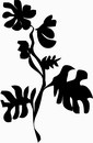 花朵鲜花_1103eps,ai矢量模版下载