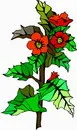 花朵鲜花_240eps,ai矢量模版下载