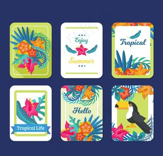 夏季热带卡片