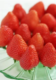 草莓 草莓