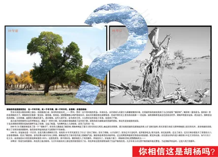 环境保护画册 环境保护画册
