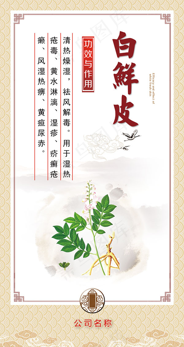 中药白鲜皮海报psd模版下载