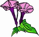 花朵鲜花_454eps,ai矢量模版下载
