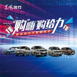 风行汽车团购会