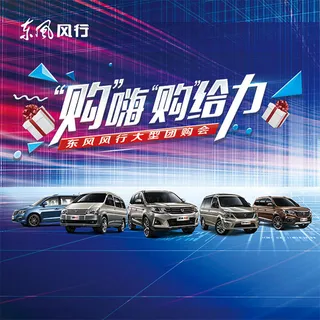 风行汽车团购会