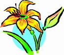 花朵鲜花_504eps,ai矢量模版下载