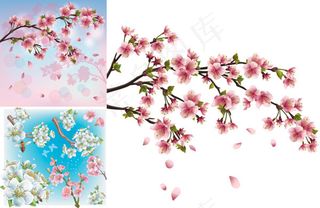 精美桃花矢量