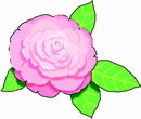 花朵鲜花_419eps,ai矢量模版下载
