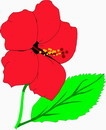 花朵鲜花_740eps,ai矢量模版下载