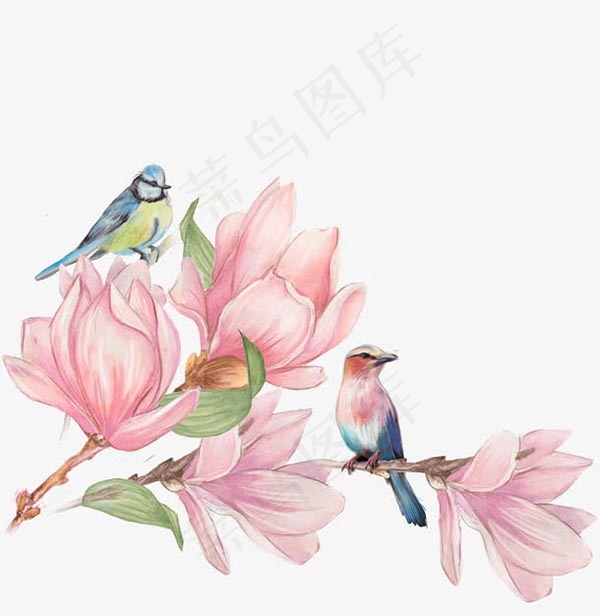 工笔画花鸟