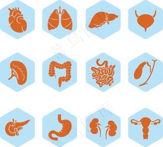 内脏图标矢量,免抠元素