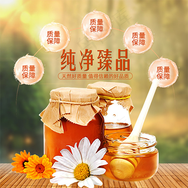 淘宝蜂蜜主图psd模版下载