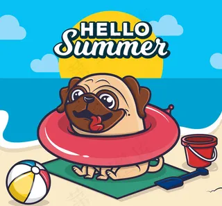 海边玩耍的斗牛犬