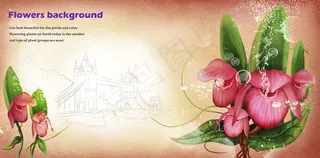 鲜花水花与桥梁