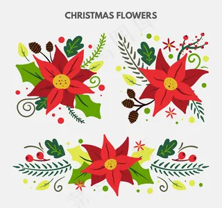 圣诞节一品红花束