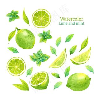 手绘绿叶青柠檬