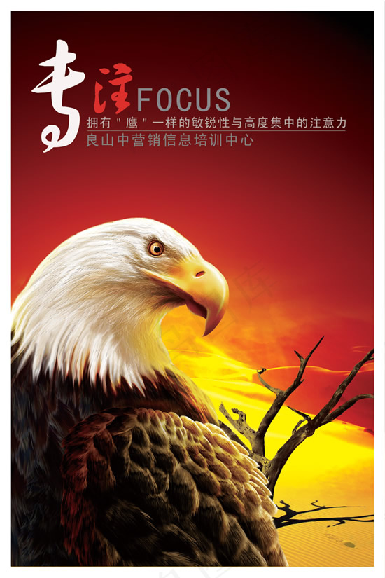 企业文化专注(3543X5315(DPI:150))psd模版下载