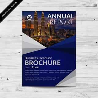 年度报告小册子