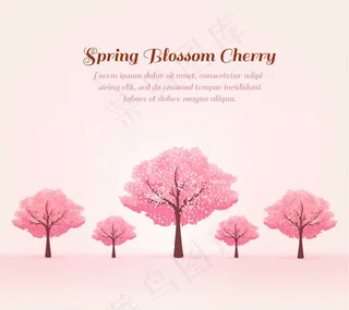 春季粉色樱花树