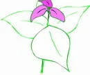 花朵鲜花_821eps,ai矢量模版下载