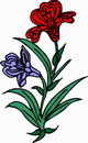 花朵鲜花_86eps,ai矢量模版下载