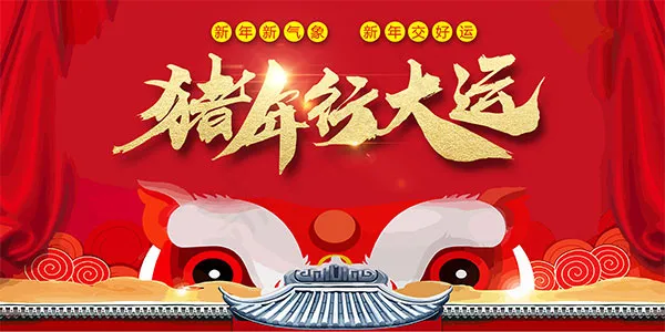 猪年行大运海报psd模版下载