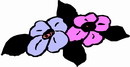 花朵鲜花_930eps,ai矢量模版下载