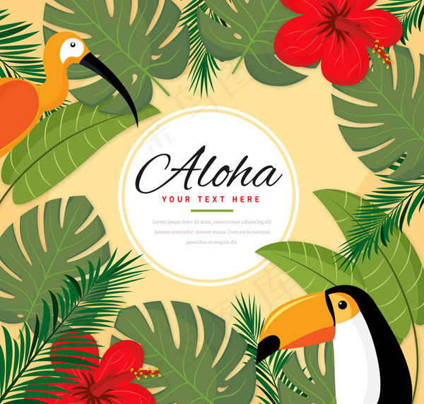 夏威夷花鸟边框