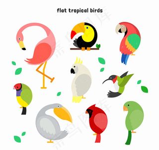 彩色鸟类矢量