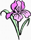 花朵鲜花_751eps,ai矢量模版下载