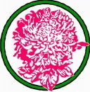 花朵鲜花_75eps,ai矢量模版下载