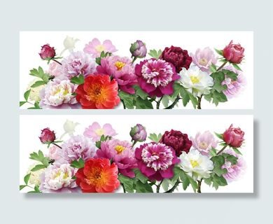 花开富贵无框画