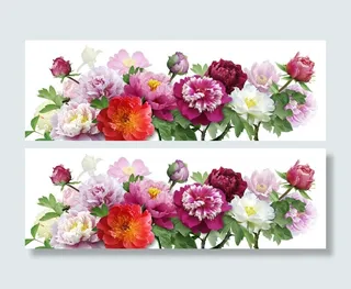 花开富贵无框画