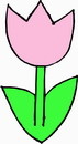 花朵鲜花_905eps,ai矢量模版下载