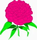 花朵鲜花_310eps,ai矢量模版下载