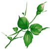 PSD精美花纹_112psd模版下载