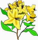 花朵鲜花_251eps,ai矢量模版下载