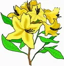 花朵鲜花_251eps,ai矢量模版下载