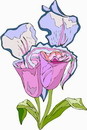 花朵鲜花_185eps,ai矢量模版下载