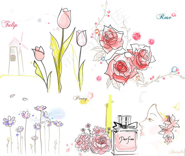 郁金香玫瑰花牡丹