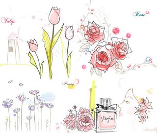 郁金香玫瑰花牡丹