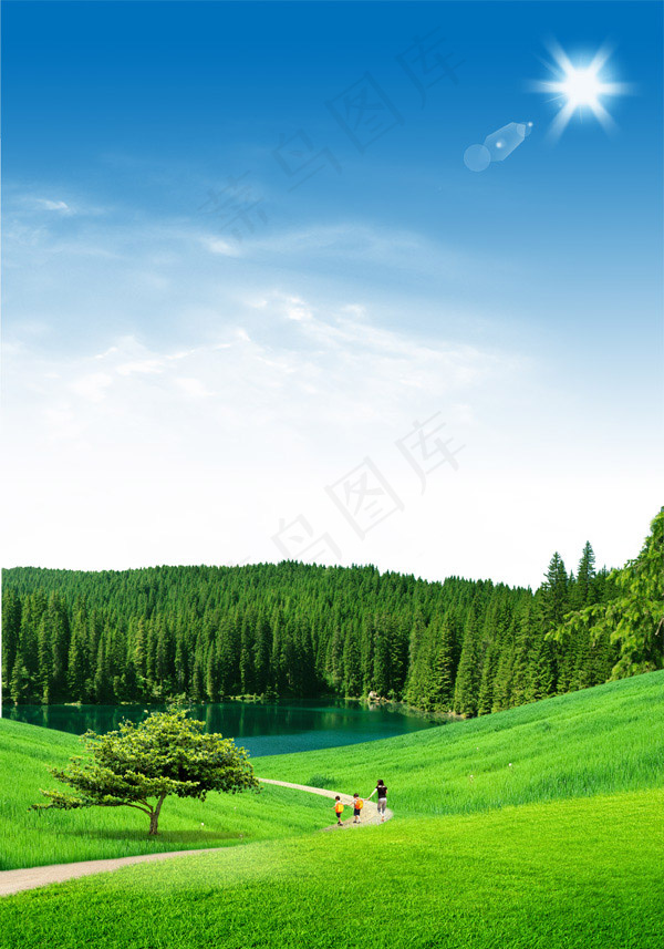 草地和大树
