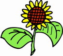 花朵鲜花_855eps,ai矢量模版下载