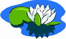 花朵鲜花_742eps,ai矢量模版下载