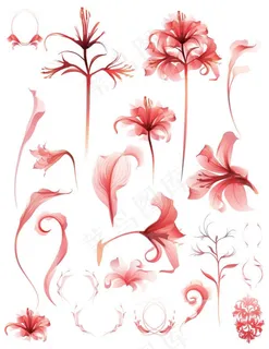 梦幻水彩花朵 梦幻水彩花朵