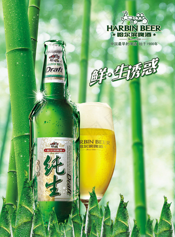 哈尔滨啤酒(5091X6862(DPI:300))psd模版下载