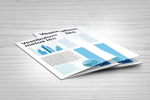 三折页样机 三折页样机