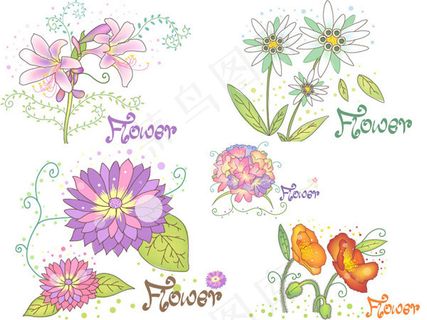 花朵植物图案,免抠元素
