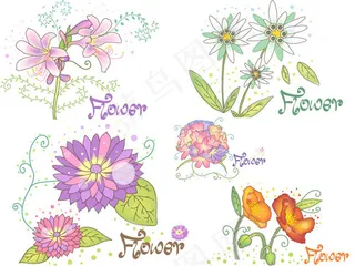 花朵植物图案,免抠元素