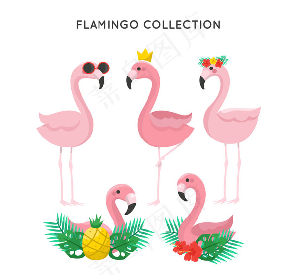 时尚粉色火烈鸟